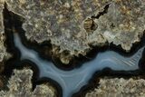 Colorful Polished Thunderegg Half - Oregon #328233-1